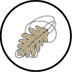 Logotipo del segundo tramo del Camino del Anillo